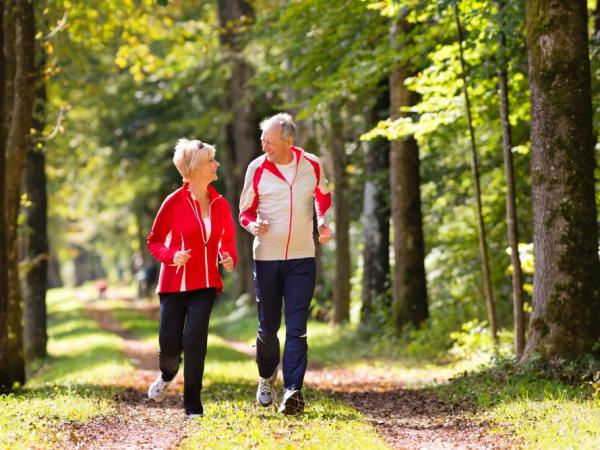 Zwei Personen joggen durch einen Wald
