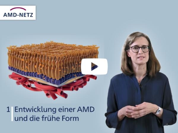 Videovorschau Erklärfilm 1